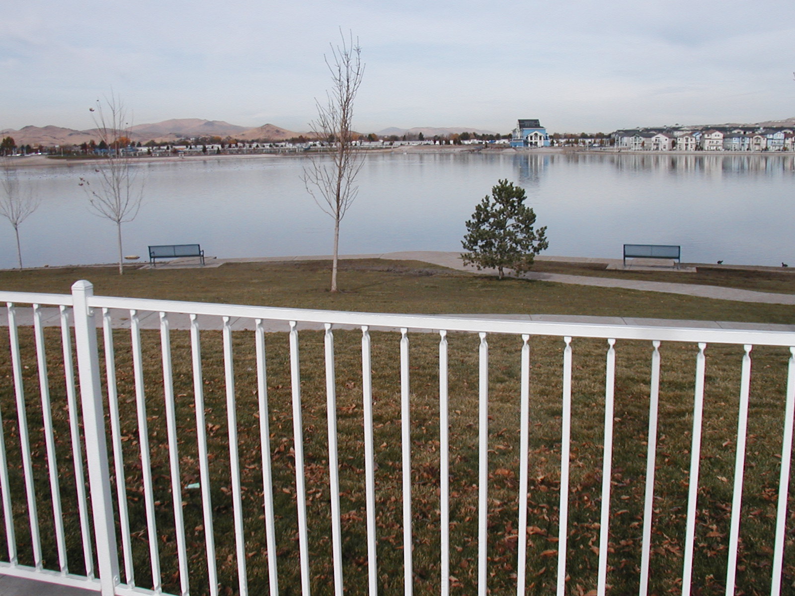 Dog Park at the Sparks Marina